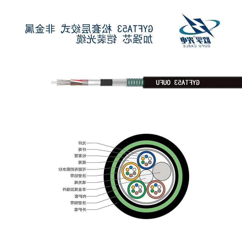 张家口市GYFTA53光缆